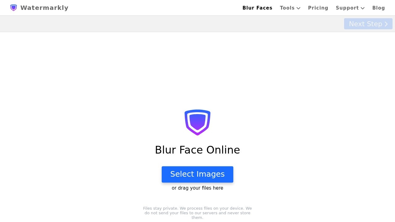 Watermarkly Blur Faces preview